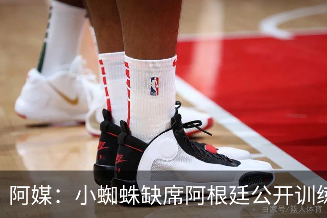 阿媒：小蜘蛛缺席阿根廷公开训练，他可能在第二场友谊赛中出场