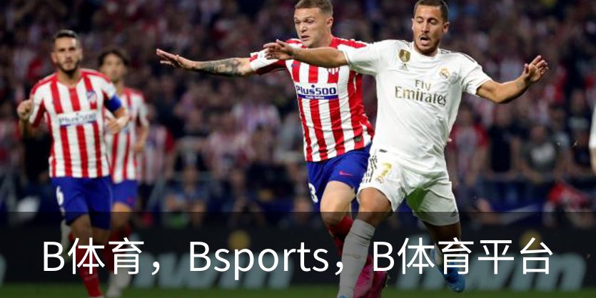 B体育，Bsports，B体育平台概况